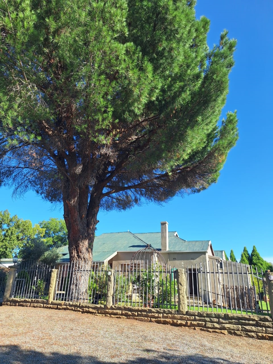 4 Bedroom Property for Sale in Senekal Free State